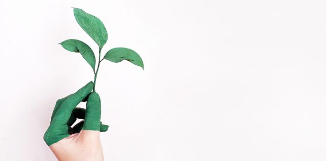 sostenibilia'ambientale:marketing e aziende sostenibili