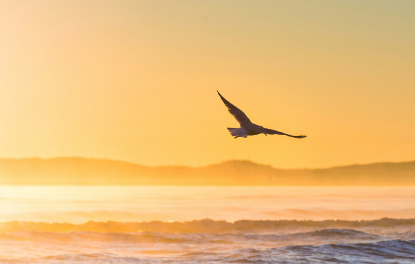 coaching storia di rinascite sorprendenti