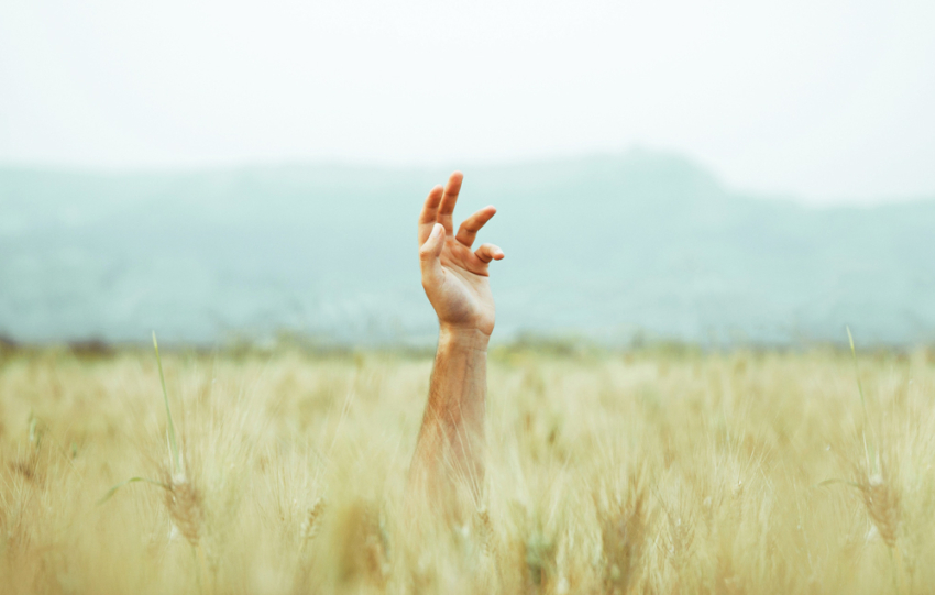 rinascere e il vero atto di liberta