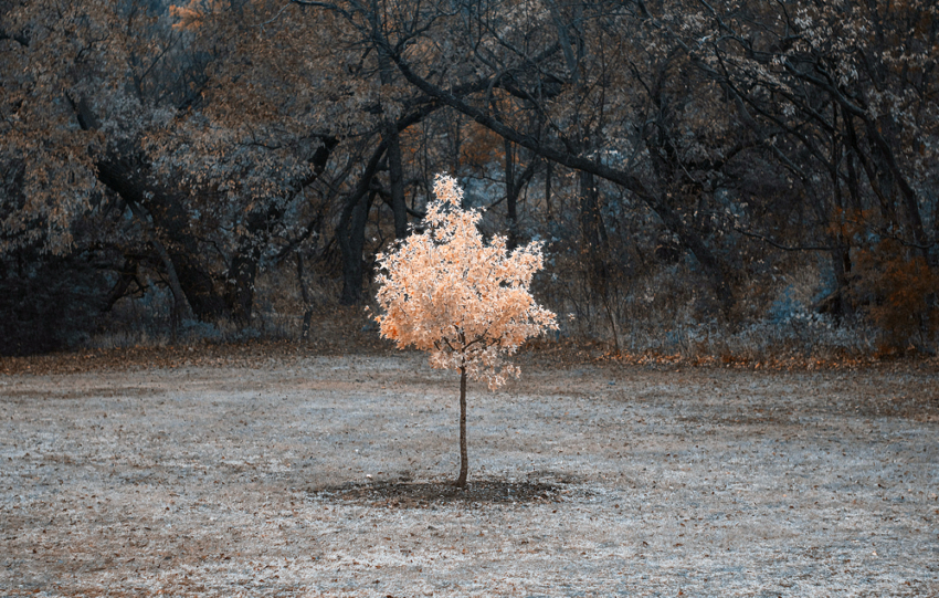 l'estetica dei numeri uno