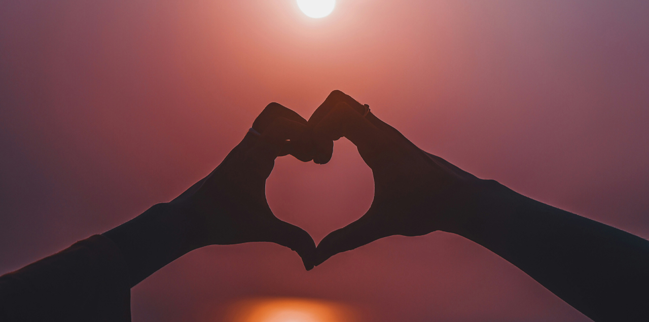 L'amore è il perché​ recensione