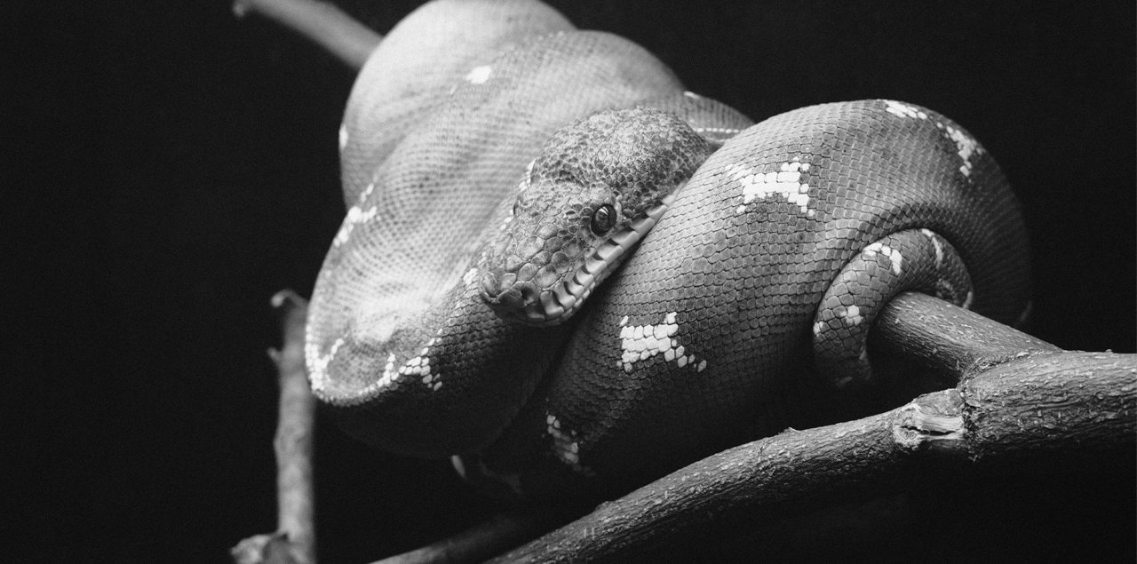 i sette peccati capitali e le loro versioni moderne