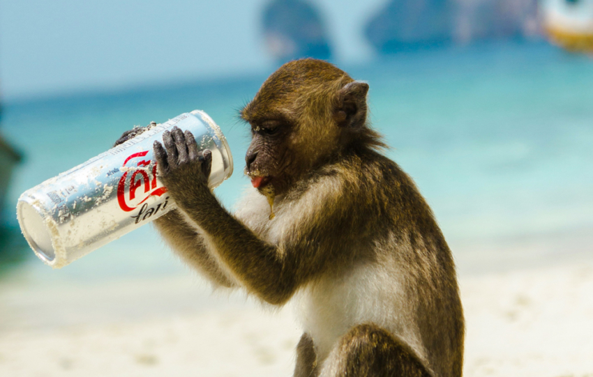 la crudelta dietro la teoria dell'amore