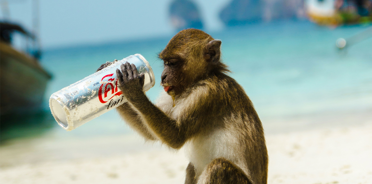 la crudelta dietro la teoria dell'amore