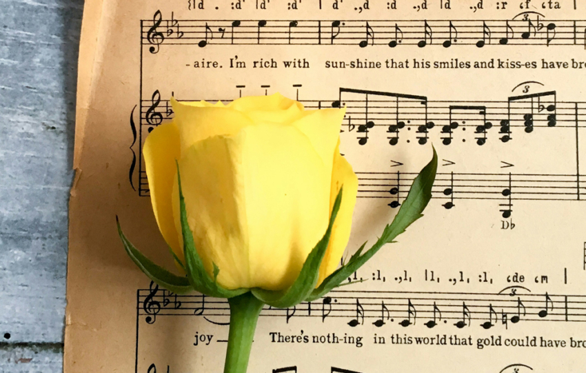 poesia e canzone dautore come educazione civica