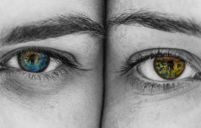 La mente razionale e la mente emozionale