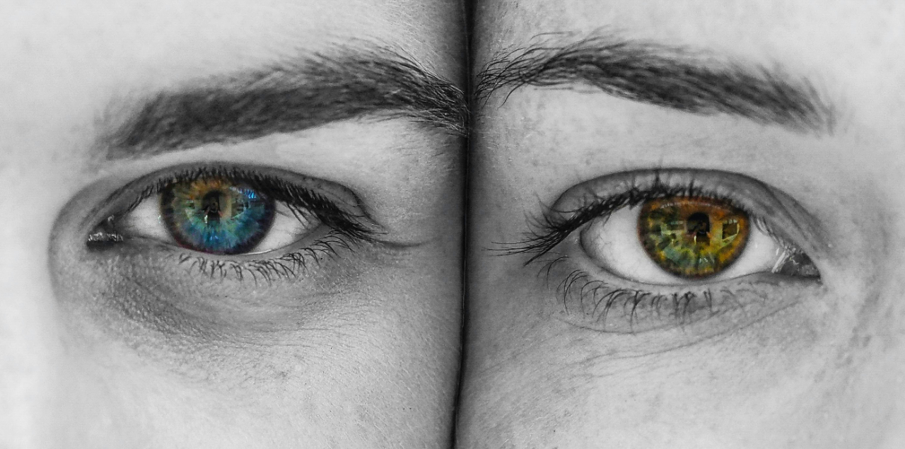 La mente razionale e la mente emozionale